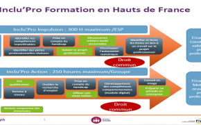 Schéma présentation Inclu'Pro Formation