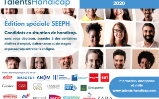 AFFICHE TALENTS HANDICAP