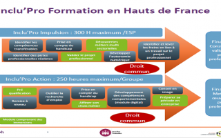 Schéma présentation Inclu'Pro Formation