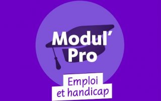 Logo Modul Pro