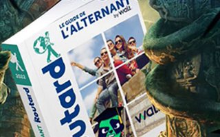 Le Routard. Le guide de l'alternant by Walt.