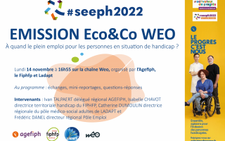 Flyer sur l'émission Weo avec nom des intervenants : Ivan TALPAERT, Isabelle CHAVOT, Catherine DUMOULIN, Frédéric DANEL