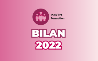 visuel bilan Inklu Pro Formation
