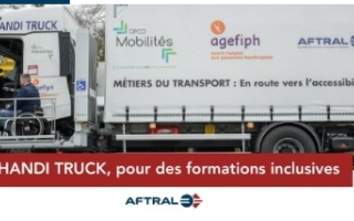 Camion Handi Truck