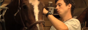 Thibault Girardon, apprenti soigneur équidé en train de brider un cheval